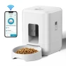 Smart Cat Feeder — Automatic Feeders, Holland Zho
