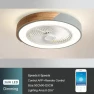 Smart Ceiling Fans With Light — Ceiling Fan Lighting Solutions, Good Household Items