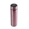 Smart Water Bottle with Temperature Display — Travel Drinkware, Darling Home