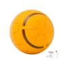 Automatic Rolling Ball Toy for Dogs — Balls, All in Watch
