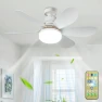 Ceiling Fan Light Fixture — LED, Automobile Club