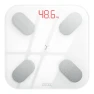 Smart Body Fat Scale — Weight Management Tools, PICOOC