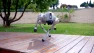 Quadruped Robot — Security & Surveillance Robots, Unitree