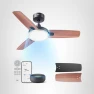 Smart Ceiling Fan with Lights, Dreo