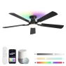 Smart Ceiling Fan with RGB Lights — Ceiling Fans, ZMISHIBO