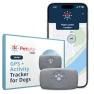 Smart GPS and Activity Pet Tracker for Dogs — Trackers, Petivity