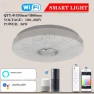 WiFi Smart Remote Control LED Ceiling Light — Smart Light Bulb, Trend CCC