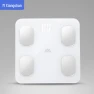 Smart 8-Electrode Body Fat Scale — Smart Scale, Xiangshan