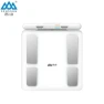 Smart Body Fat Scale with Handle & Heart Rate Monitor — Smart Scale, Xiangshan
