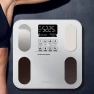 Smart Body Fat Scale — Smart Scale, ICOMON