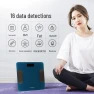 Smart Body Fat Scale — Smart Scale, Westinghouse