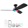 Smart Ceiling Fan with Lights — Smart Fan, Consciot