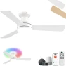 RGB Ceiling Fan with Light — Smart Fan, Homlit