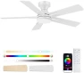 Smart Ceiling Fan with Lights — Smart Fan, GentleBreeze