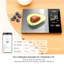Kitchen Scales Food Scales Calorie Counting Nutrition Food Scale with Free App & Bluetooth Tracks 20 Nutrients — Smart Scale, Tofitter