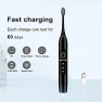 Electric Toothbrush Set with 8 Brush Heads and Travel Case — Electric Toothbrush, kingheroes