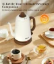 Gooseneck Electric Kettle — Electric Kettle, YTLAD