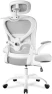 Ergonomic Office Chair with Headrest — Smart Chairs, Freepub