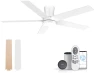 Low Profile Ceiling Fan with Lights — Smart Fan, Lorpies