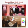 Dual Mode Smart Light Bulbs with Remote & App Control — Smart Light Bulb, Sengled