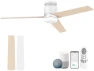 52” Smart Flush Mount Ceiling Fan with Lights and Remote — Smart Fan, Lorpies