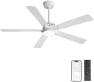 Smart Ceiling Fan with Lights and 3 Downrods — Smart Fan, WINGBO
