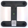 Smart Scale with BMI & Body Fat Monitor — Smart Scale, Body Basics
