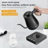 Gooseneck Electric Kettle with Temperature Control and LCD Display — Electric Kettle, Panana