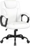 Executive Desk Chair with Fixed Armrest — Smart Chairs, Misolant