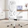 Ergonomic Office Chair with Back Support — Smart Chairs, Ergalithic