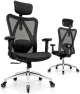 Ergonomic Office Chair with Rollerblade Wheels - High Back Breathable Mesh, 4D Lumbar Support, Memory Foam Seat — Smart Chairs, Duramont