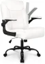 Ergonomic Executive Mid-Back Desk Office Gaming Computer Chair — Smart Chairs, NEO CHAIR