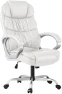 High Back Computer Desk Chair — Smart Chairs, Homall