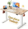 One-Piece Standing Desk 48 x 24 Electric Height Adjustable Computer Desk — Standing Desk, CubiCubi