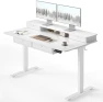 48" x 24" Standing Desk with Drawers, Height Adjustable Electric Workstation, Computer Sit Stand Up Table with Large... — Standing Desk, CubiCubi