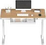 55" Bamboo Standing Desk, Dual Motor 3 Stages Adjustable Height Electric Computer Workstation with Wireless Charging,... — Standing Desk, FLEXISPOT