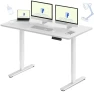 Dual Motor Electric Standing Desk 48 x 24 — Standing Desk, FLEXISPOT