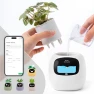 Smart Plant Pot with Visual Display — Indoor Garden, PLANTSIO