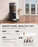 AI Automatic Cat Feeder with 2K HD Dual Cameras — Automatic Pet Feeder, PETOCAT