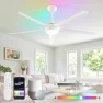 56'' Smart Ceiling Fan with RGB Lights — Smart Fan, Fanbulous