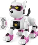 Robot Dog — Robot Pet