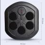 Music Boxing Training Machine with Smart Punching Pad — Smart Boxing Trainer, Binchi Keji Travel