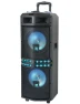 Dual 10-inch Bluetooth Speaker Karaoke System — Karaoke Machine