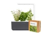 Small herb-growing kit with plant pods — Indoor Garden, Click & Grow