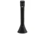 Handheld Karaoke All-in-One System — Karaoke Machine, Naxa
