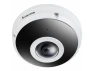 Outdoor Network Fisheye Dome Camera — Security Camera, VIVOTEK