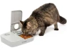 Programmable Pet Feeder — Automatic Pet Feeder, GCROWN