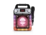 Portable Karaoke System — Karaoke Machine, Wenger