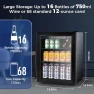 Beverage Refrigerator Cooler, Antarctic Star
