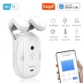 Smart Automatic Curtain Opener